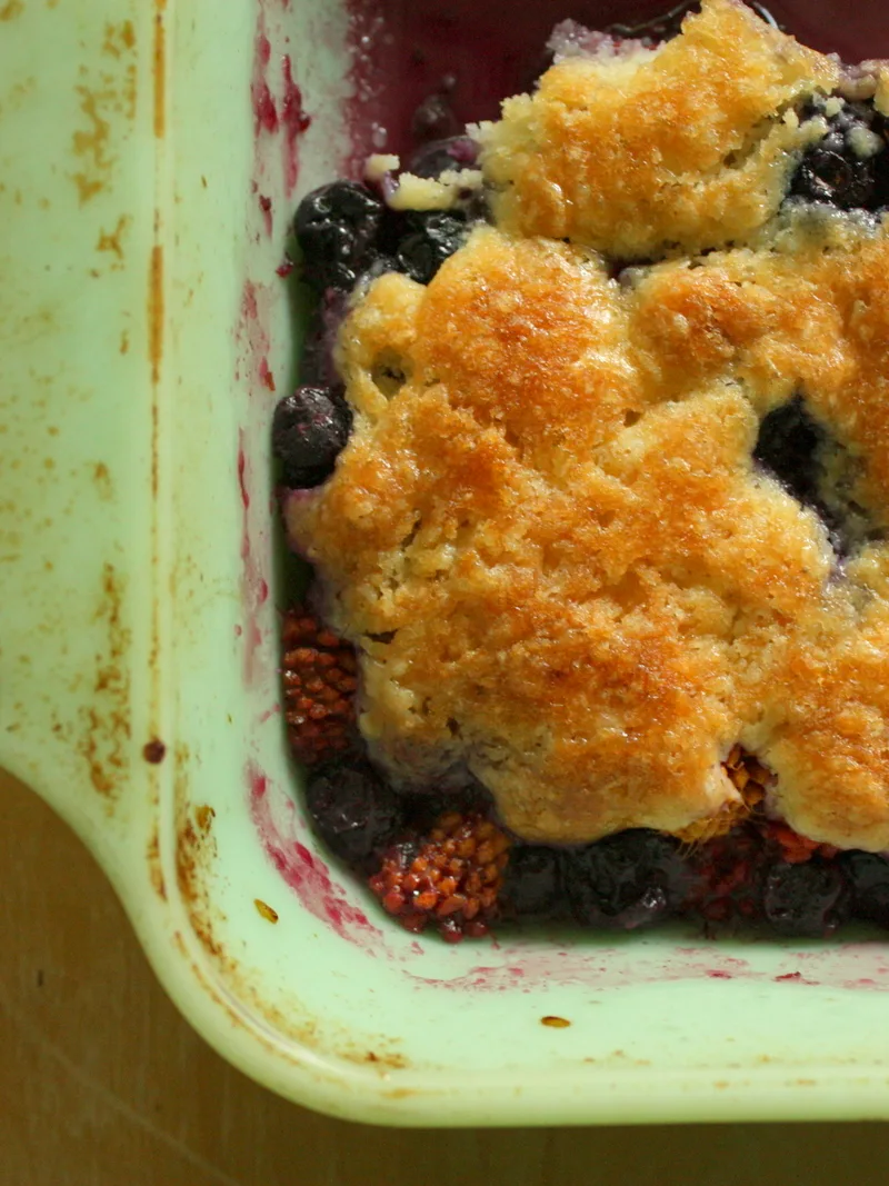 cobbler: And made a delicious cobbler using one of the duck eggs from Dog Mountain