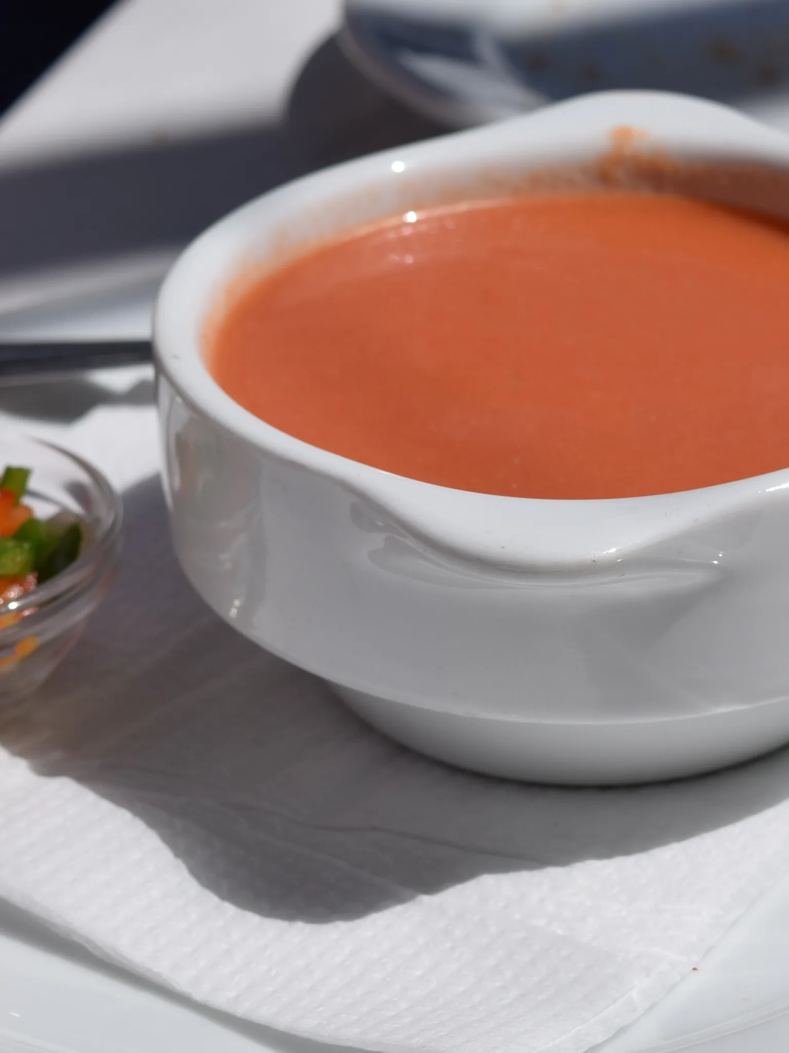 Gazpacho: Gazpacho Malagueño con su “picaíto”