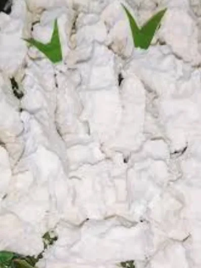 Itak Gurgur: Itak gurgur