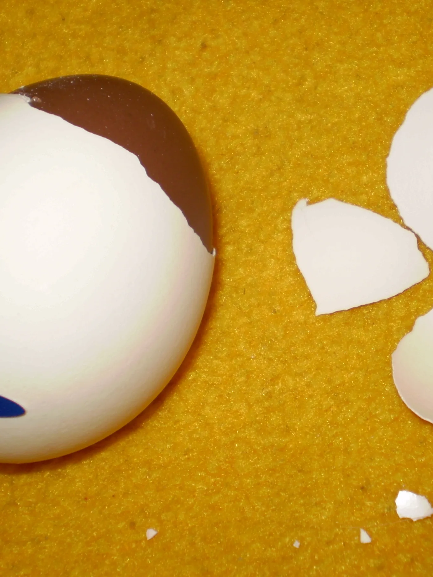 Mignon: Partially peeled chocolate egg Mignon producted by Fazer
