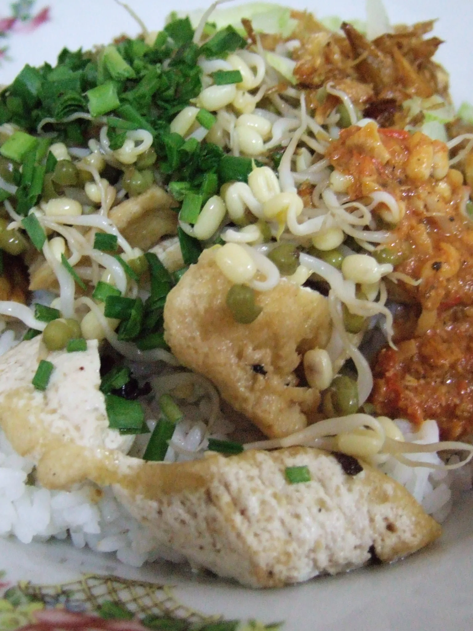 rice lengko: Nasi Lengko (Sega Lengko) of Cirebon, West Java, Indonesia. Vegetarian rice with tofu and beansprout. チルボンのナシ・レンコ.ご飯の上に豆腐ともやしを載せ、ピーナッツソースとケチャップマニスをかけたもの。