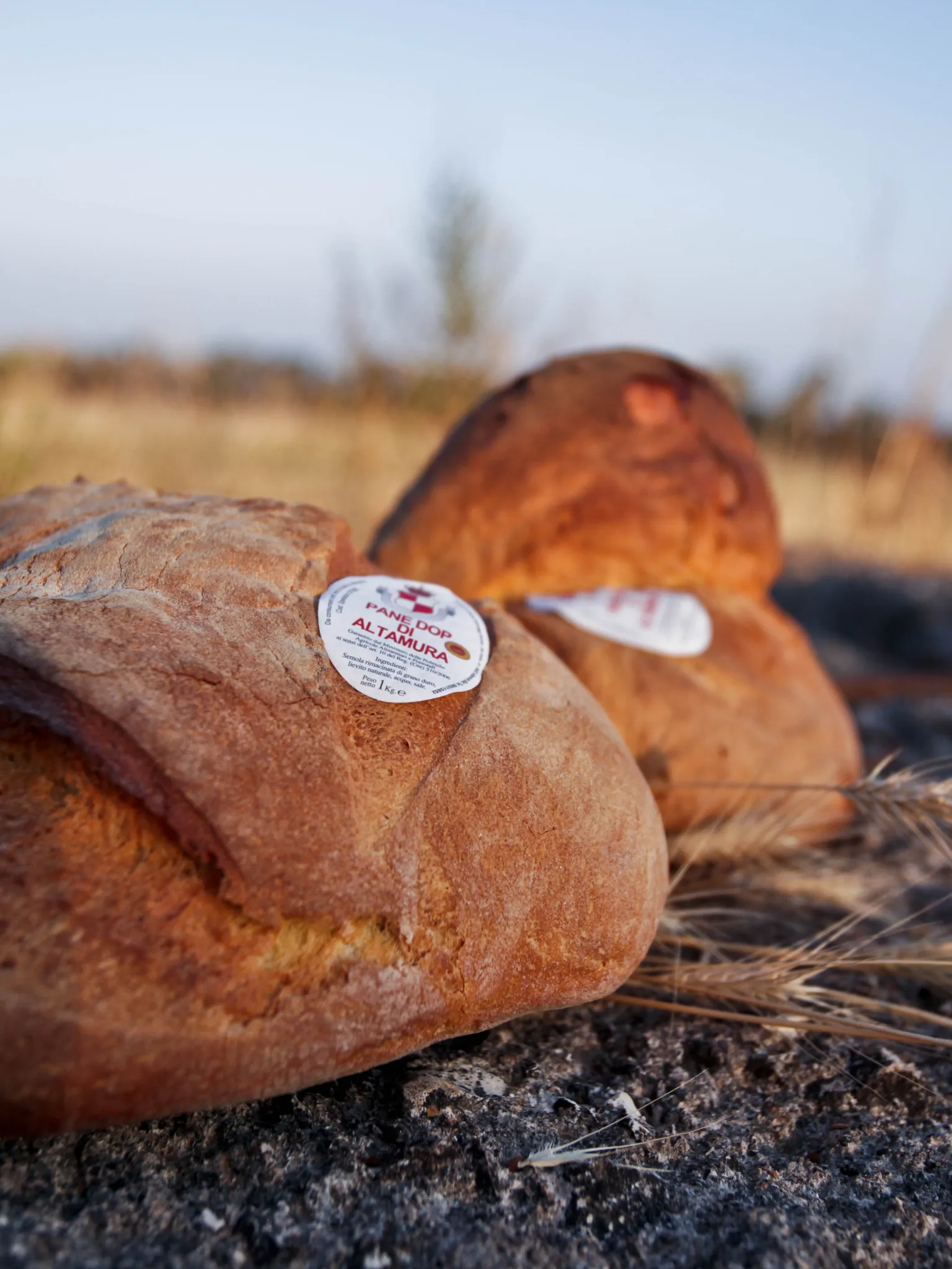 Pane di Altamura PDO: Panedi Altamura DOP