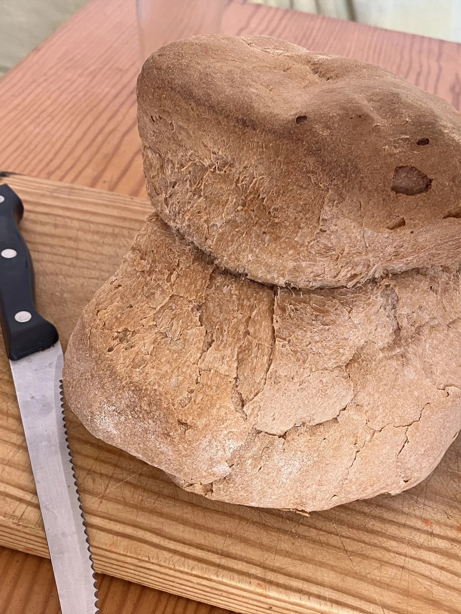 Alentejano bread: Encontramos “pan portugués” (pão de testa) en Isla Cristina, porque esta zona de Huelva (España) tiene mucha influencia portuguesa. Un pan riquísimo 🥖❤️