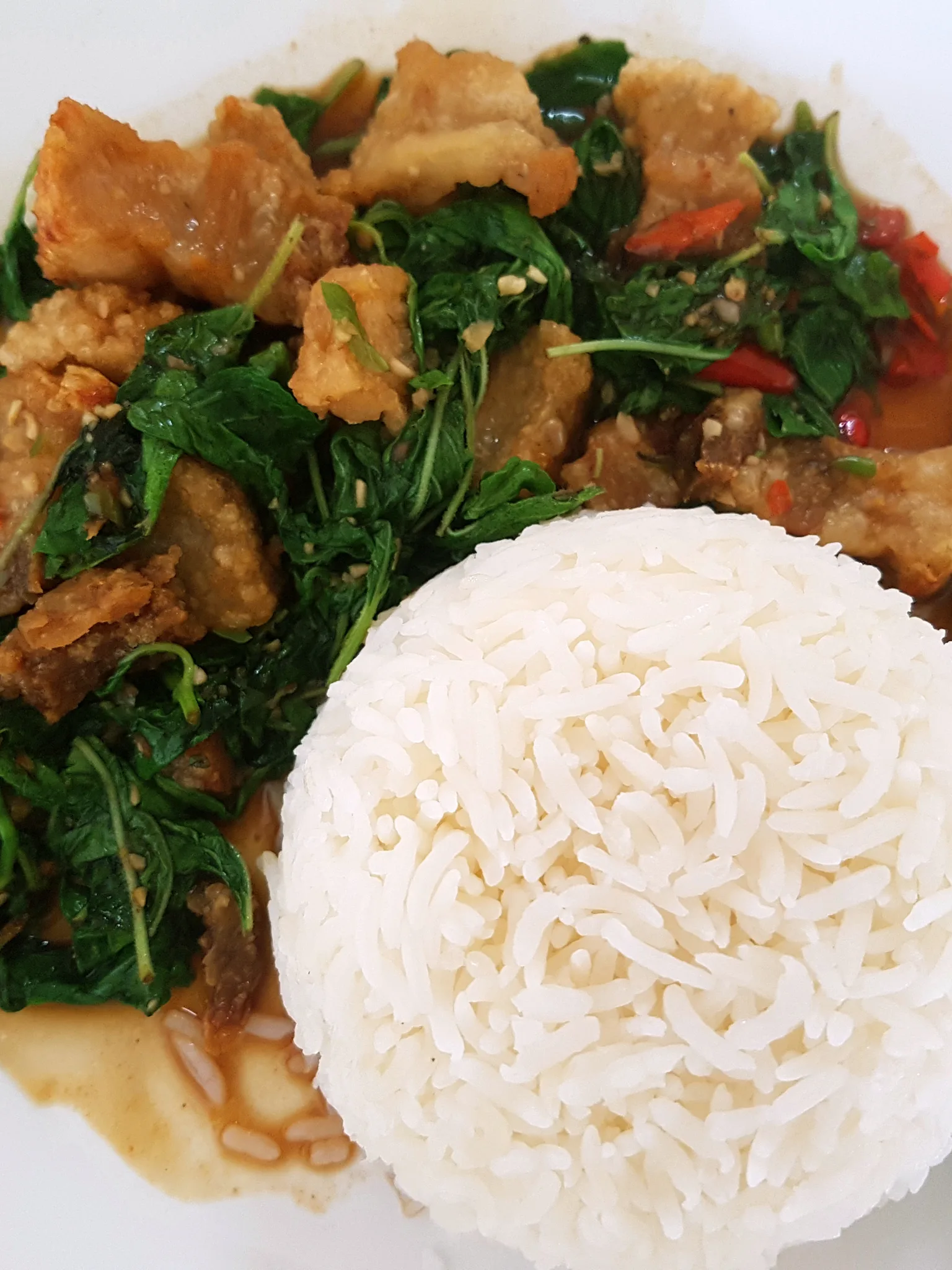 phat kaphrao: Basil fried crispy pork with rice (ข้าวกะเพราหมูกรอบ) as sold in Chiang Mai, Thailand