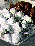 Pignolata di Messina PAT: pignolata (piatto messinese e reggino)
