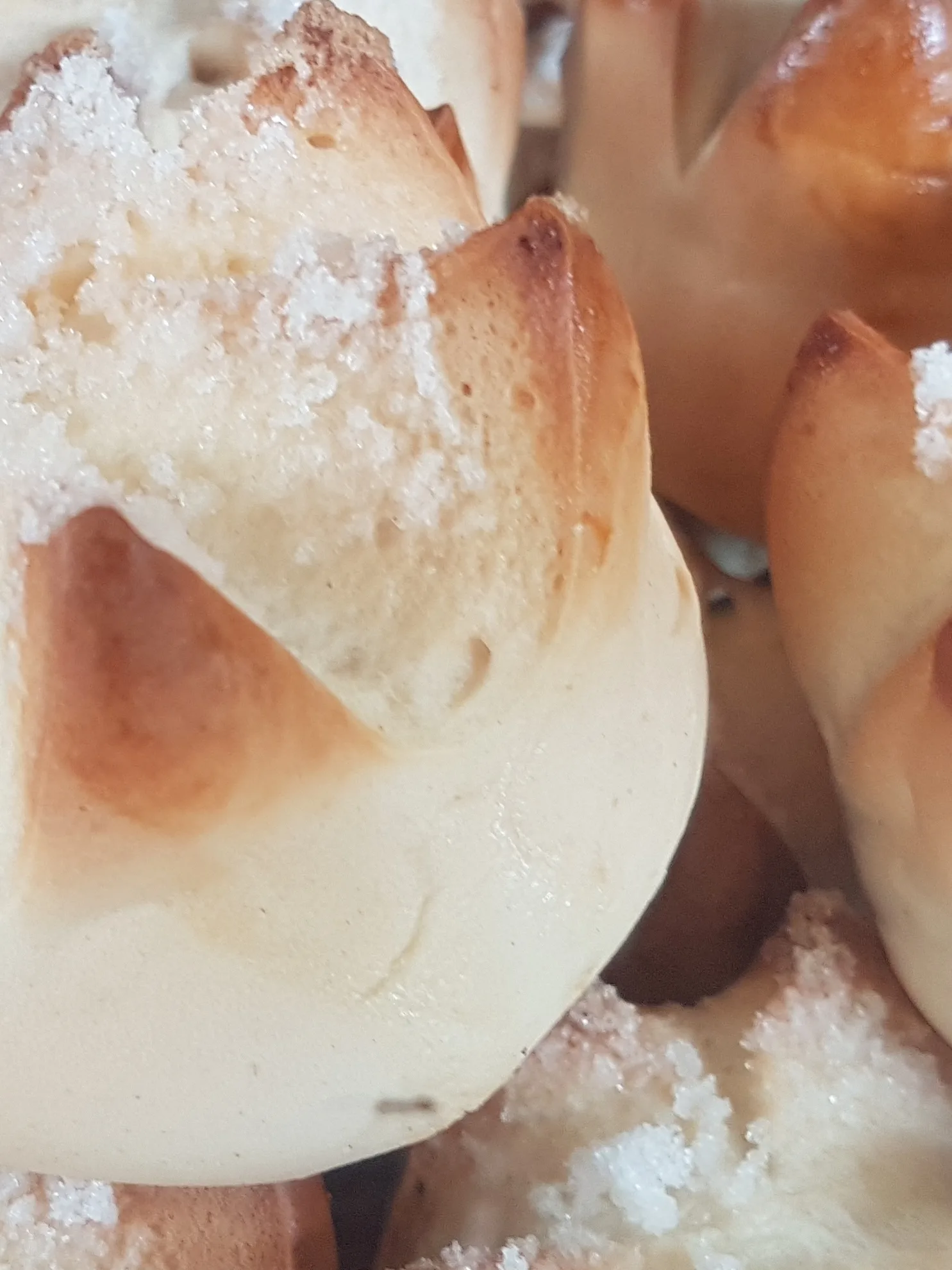 Putok: Putok bread (Philippines), a variant of pan de monja (monay)