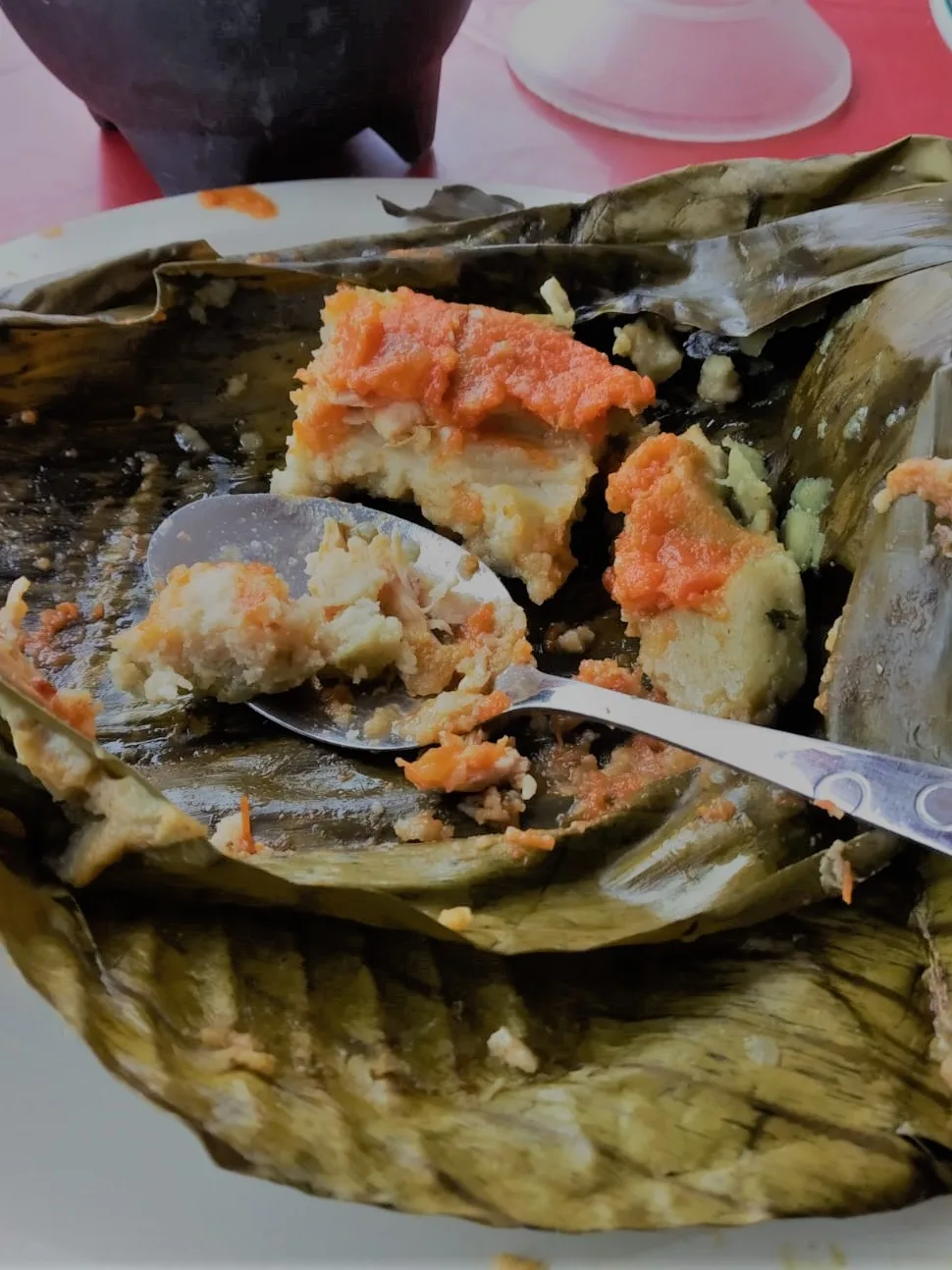 Tamales: Tamal oaxaqueño de pollo, alimento tradicional mexicano