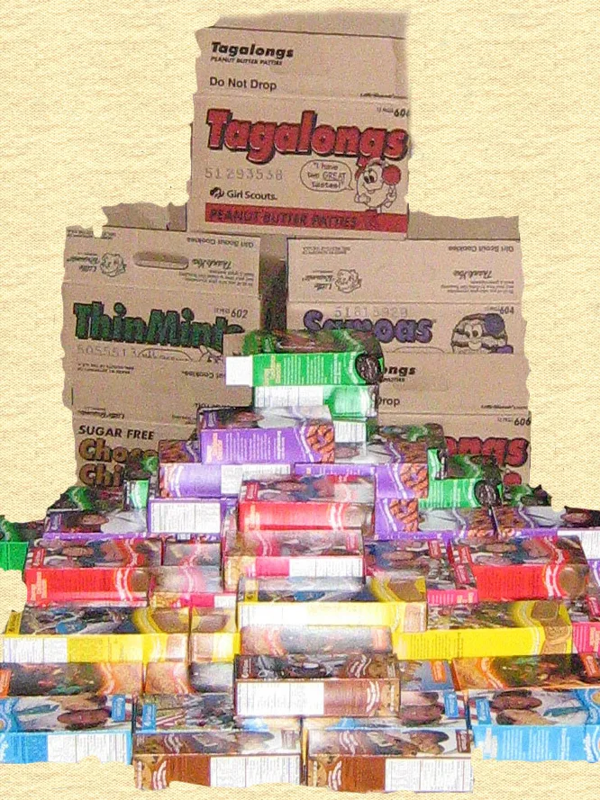 Thin Mints: I took the picture myself